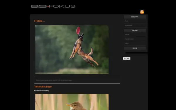 as-fokus.de