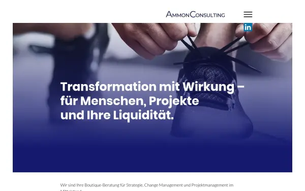 www.ammonconsulting.org