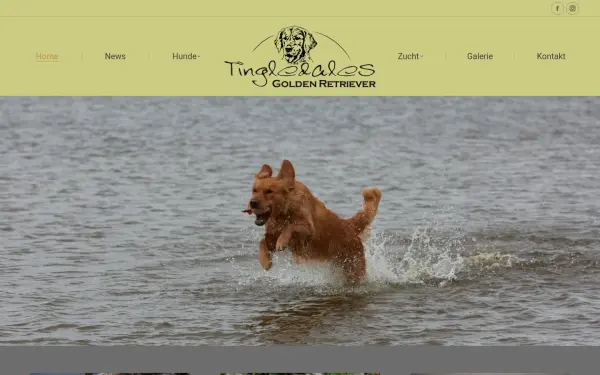 www.tingledales.de