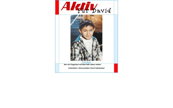 aktiv-fuer-david.de