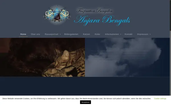 anjara-bengals.de