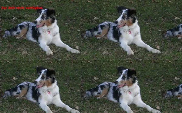 alexander-hochsprung.de