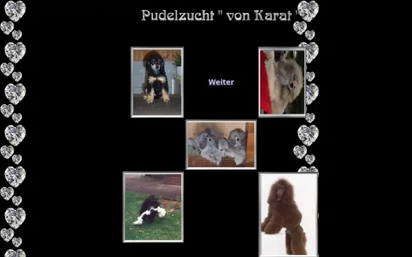 pudelzucht-von-karat.de