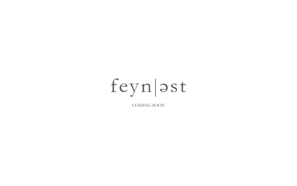 feynest.de