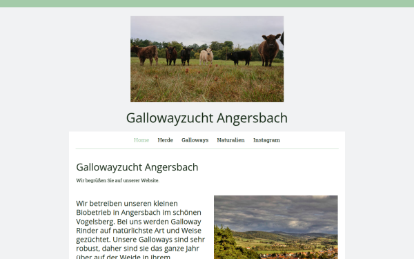 www.gallowayzucht-angersbach.de