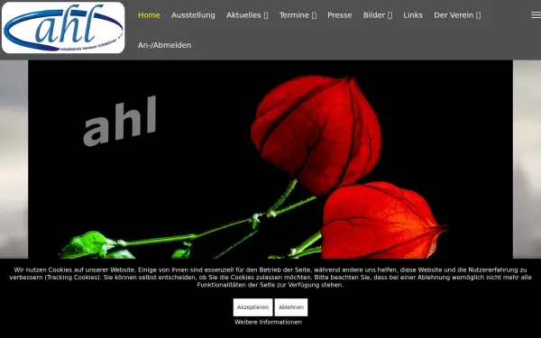 ahl-fotokunst.de