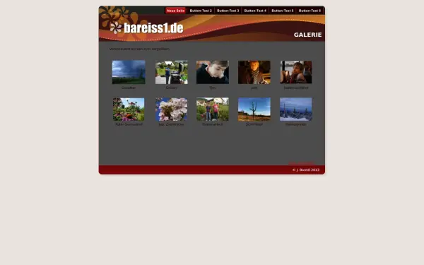 bareiss1.de