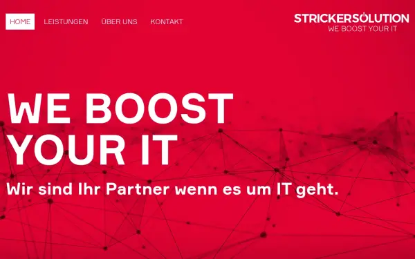 www.stricker-solution.de