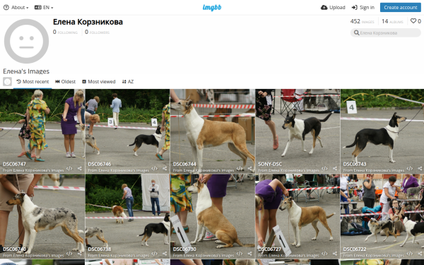 svagni.imgbb.com