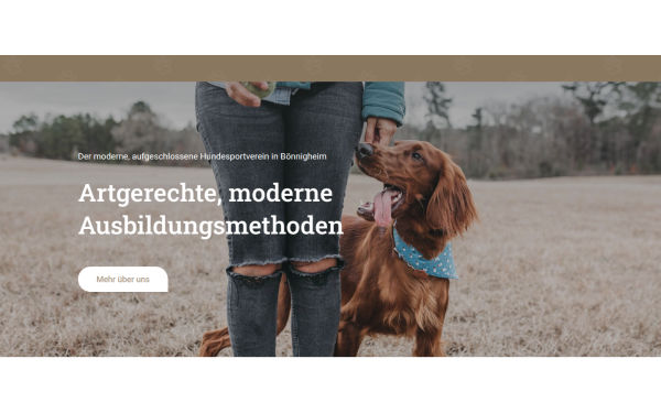 www.ghsv-boennigheim.de