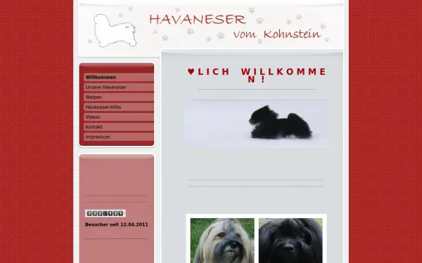 www.havaneser-vom-kohnstein.de