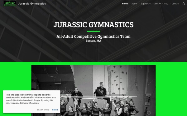 www.jurassicgymnastics.org