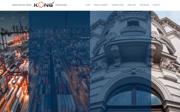 www.kong-gmbh.de