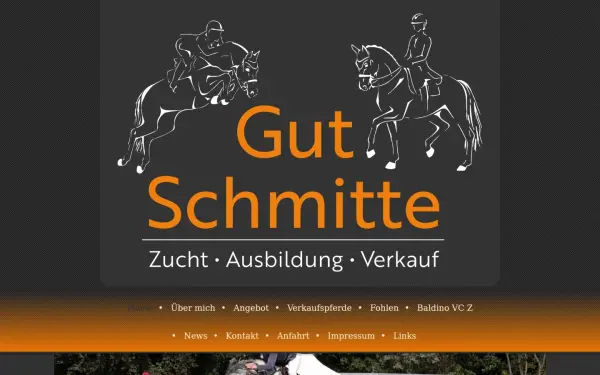 www.sportpferde-jan-hoffmann.de