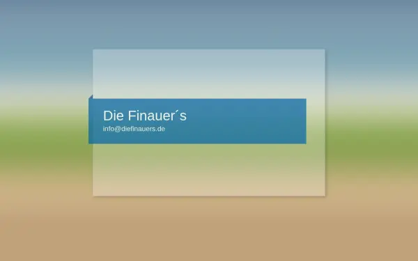 diefinauers.de