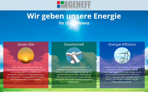 www.geneff.de
