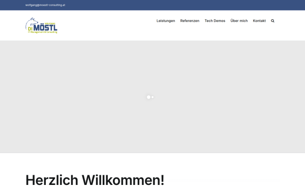 moestl-consulting.at
