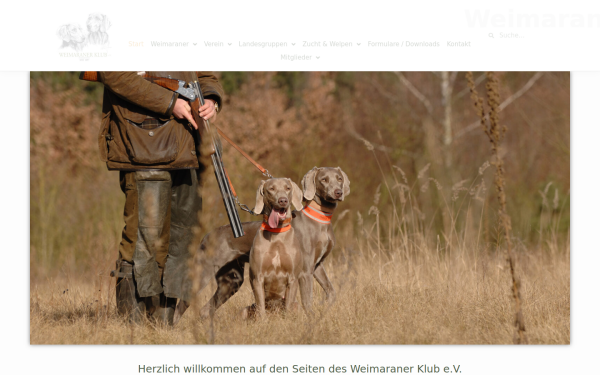 weimaraner-klub-ev.de