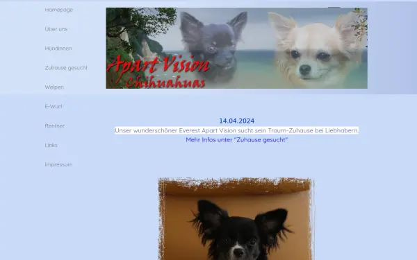 apart-vision-chihuahua.de