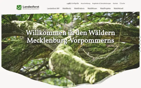 www.wald-mv.de