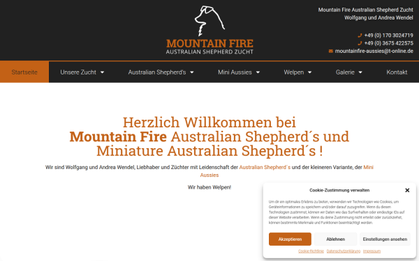 www.mountainfire-aussies.de