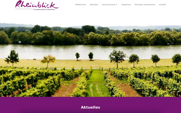 www.rheinblick-rheingau.de