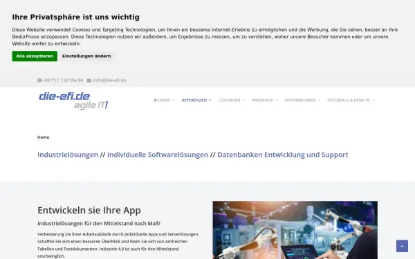 die-efi.de