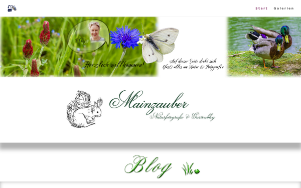 mainzauber.de