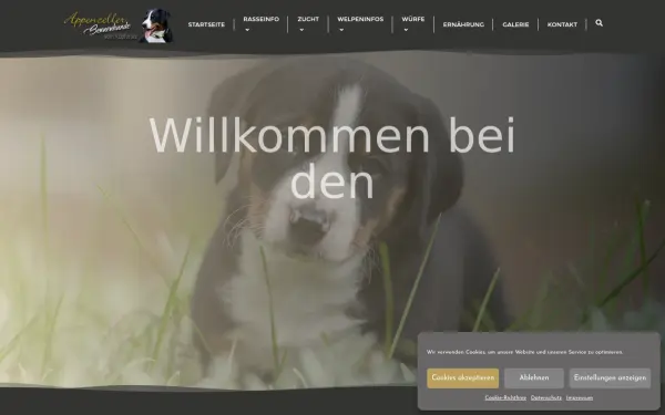 koepfersee.appenzellerhundezucht.de
