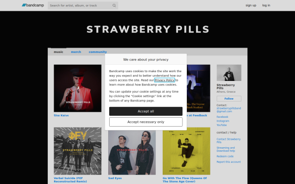 strawberrypills.bandcamp.com