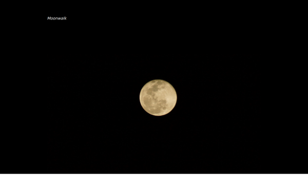 moonwalk.de