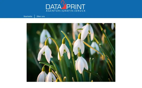 data-2-copy.de
