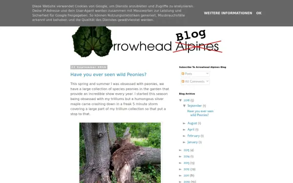 blog.arrowheadalpines.com
