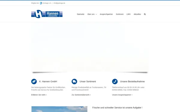 www.hannengmbh.de