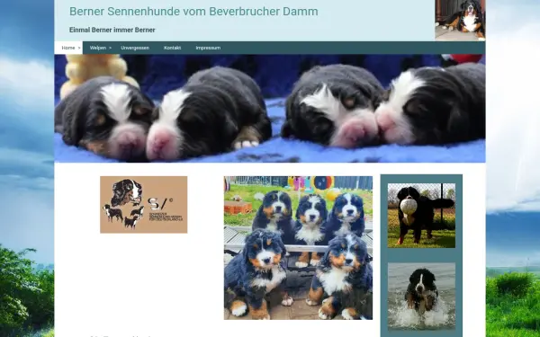 do-bernervombeverbrucherdamm.de