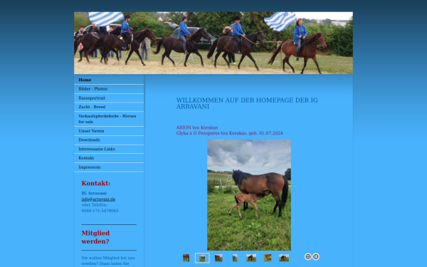 www.arravani.de