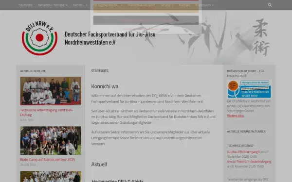 dfjj.de