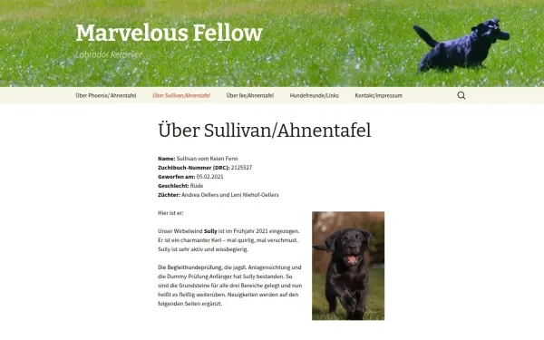 www.marvelous-fellow.de