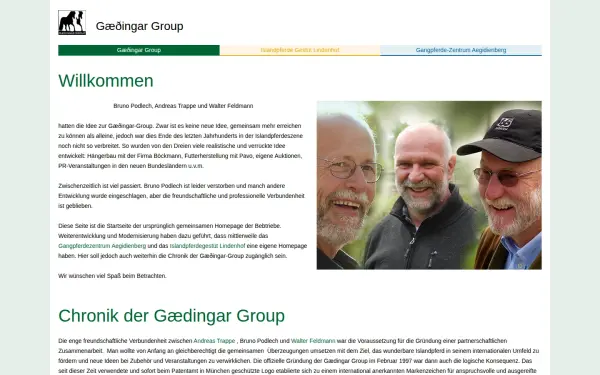 gaedingar-group.de