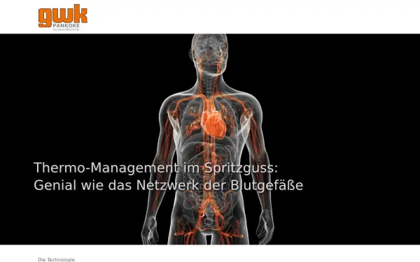 www.gwk-pankoke.de