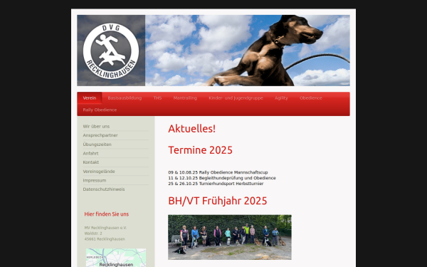 www.dvg-recklinghausen.de