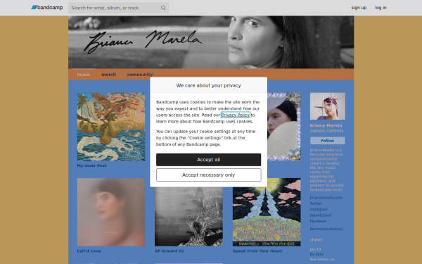 brianamarela.bandcamp.com