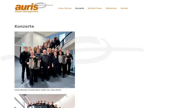 auris-berlin.de
