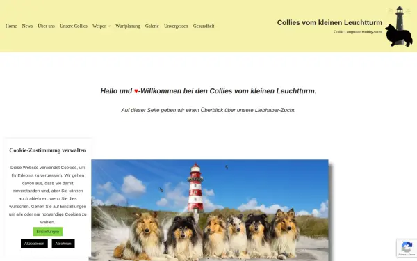 collies-vom-kleinen-leuchtturm.de