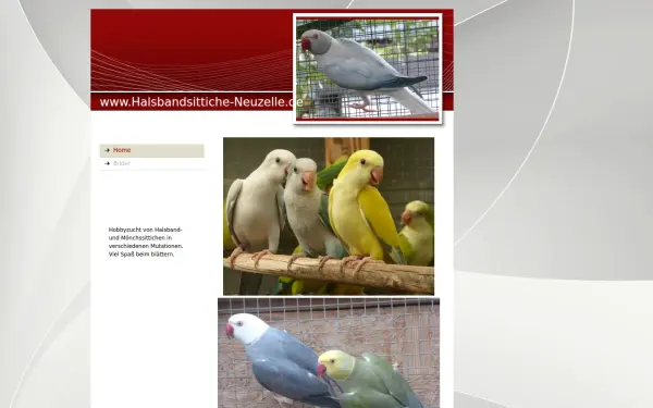 halsbandsittiche-neuzelle.de