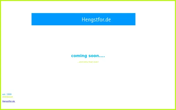 hengstfor.de