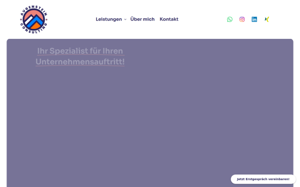 augenstein.consulting