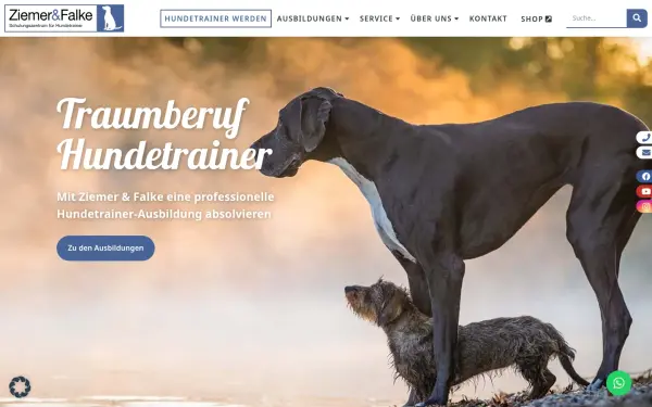 www.ziemer-falke.de