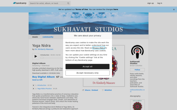 sukhavatistudios.bandcamp.com