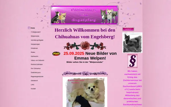 www.chihuahuas-vom-engelsberg.de